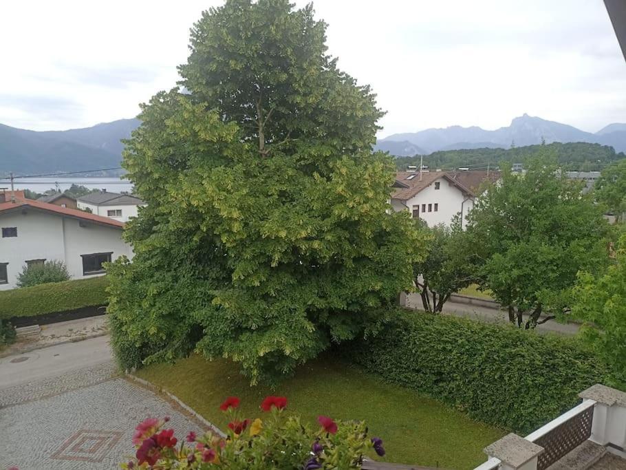 Ferienwohnung Guetl Am Weg Altmünster Exterior foto
